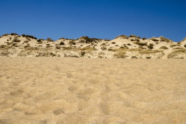 Dunas de playa —  Fotos de Stock