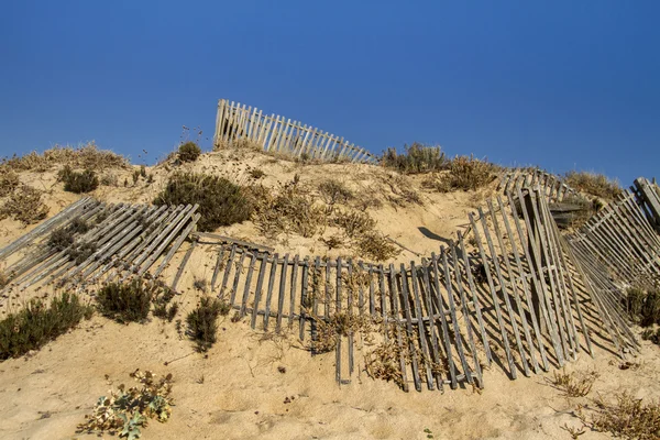 Clôture en bois sur la plage — Photo