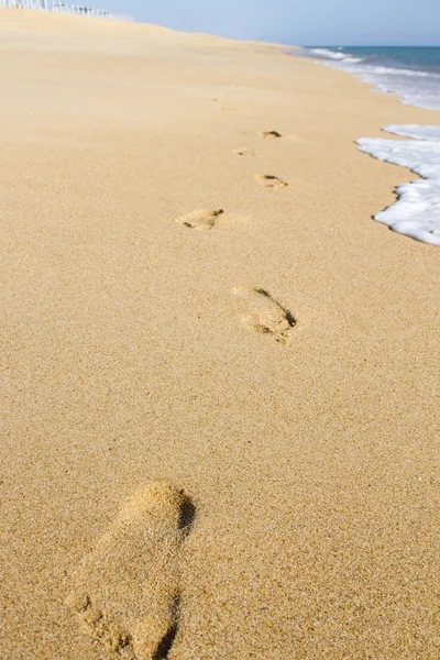 Stranden strandlinjen — Stockfoto