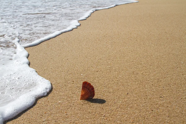 비치 해안선 — 스톡 사진