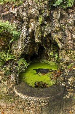 Quinta da regaleira Parkı, sintra, Portekiz