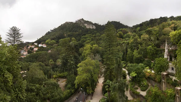 Quinta da Регалейра парку Сінтрі, Португалія — стокове фото