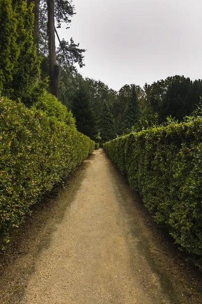Sentier de jardin — Photo
