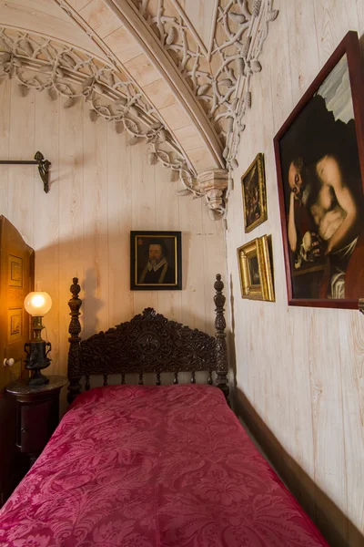 Вид на внутреннюю комнату красивого Пенского дворца — стоковое фото
