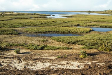 doğal ria formosa koruluklar