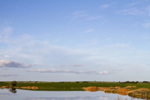 Lente platteland lake landschap — Stockfoto