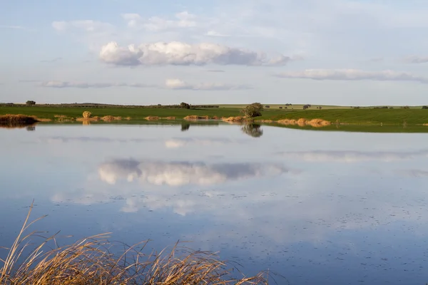 Spring countryside lake landscape — Stock Photo, Image