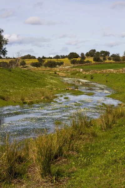 Lente platteland water stroom — Stockfoto
