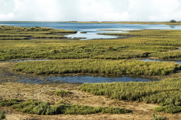 Ria Formosa marshlands in Faro — Stock Photo, Image