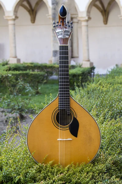 Guitarra tradicional portuguesa — Fotografia de Stock