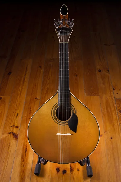 Traditional Portuguese guitar — Stock Photo, Image