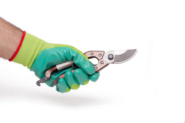 Hand with a prune scissor — Stock Photo, Image