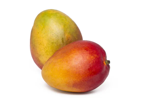 Tasty mango fruits — Stock Photo, Image