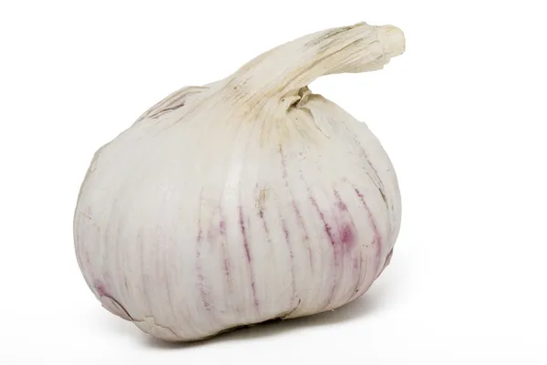 Bohlam bawang putih tunggal — Stok Foto