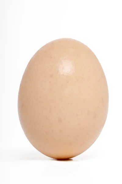 Un huevo de gallina crudo — Foto de Stock