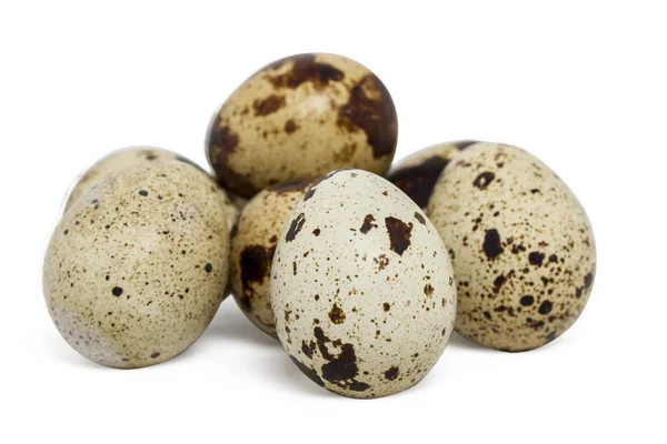 Сырые перепелиные яйца — стоковое фото