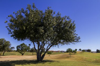 Golf Sahası Algarve'deki/daki oteller