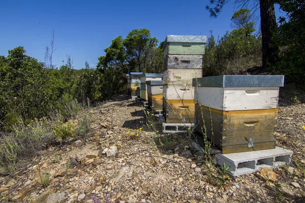 Honeycomb lådor på naturen — Stockfoto