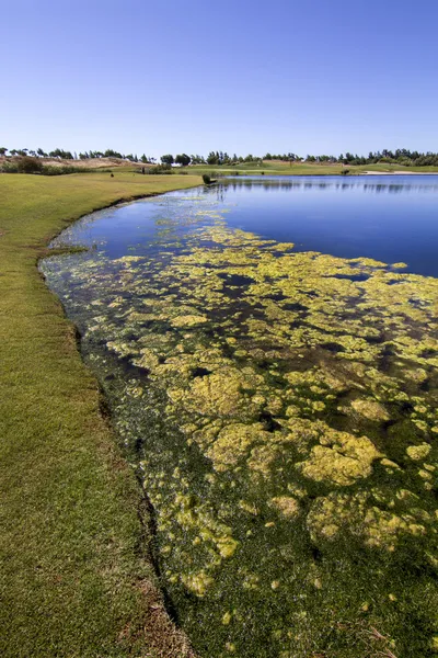 Golf course in the Algarve — Stock Photo, Image