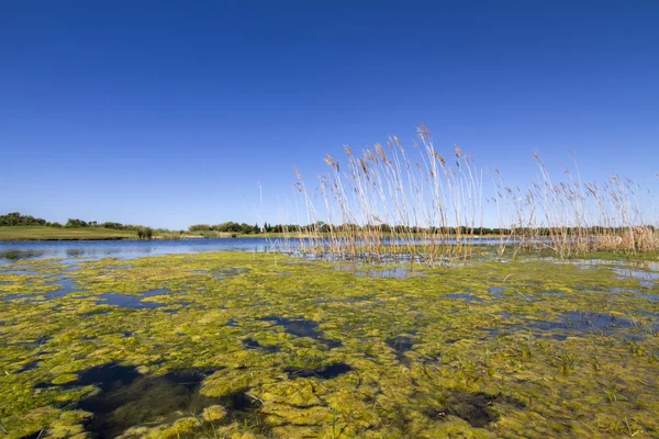 Campo de golfe no Algarve — Fotografia de Stock