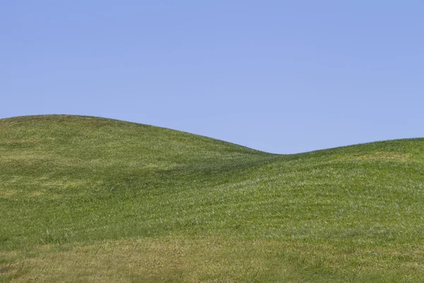 Holé zelených kopců s modrou oblohou — Stock fotografie