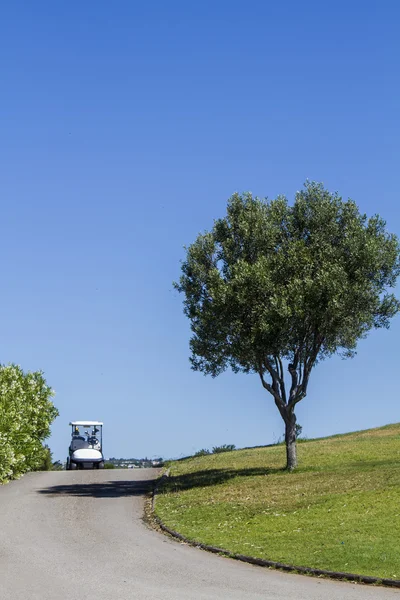 Estrada com carro de golfe e uma árvore solitária — Fotografia de Stock