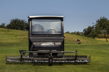 siyah çim biçme makinesi