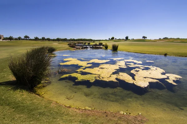 Golfové hřiště v algarve — Stock fotografie