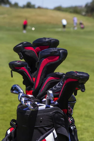 Professional bag full of golf clubs — Stock Photo, Image