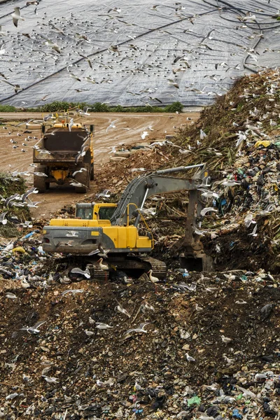 Massive trash dump site