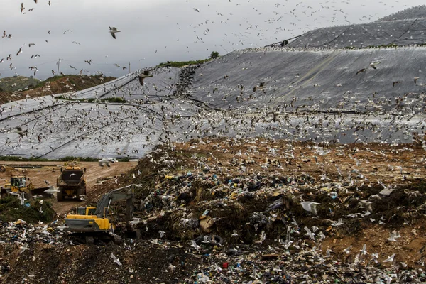 Site de décharge massive de déchets — Photo