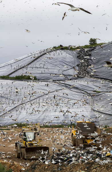Massive trash dump site