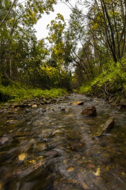 güzel monchique bölgesindeki nehir akarsu