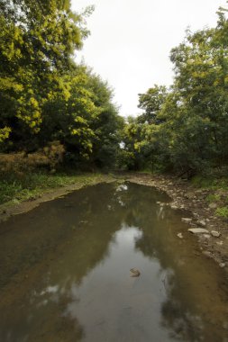 güzel monchique bölgesindeki nehir akarsu