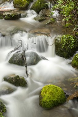 güzel monchique bölgesindeki nehir akarsu