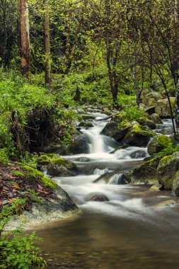 güzel monchique bölgesindeki nehir akarsu
