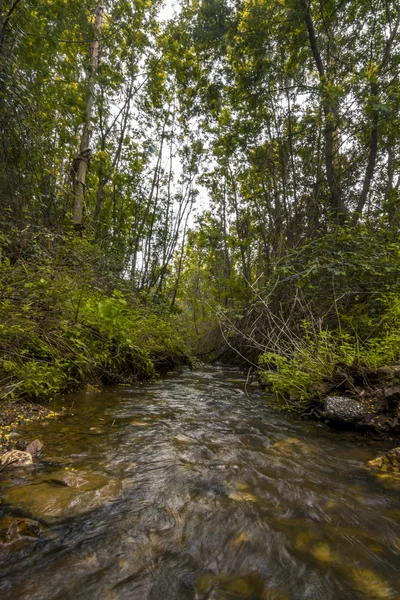 River ström på regionen vackra monchique — Stockfoto