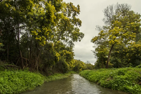 Rivière ruisseau sur la belle région de Monchique — Photo