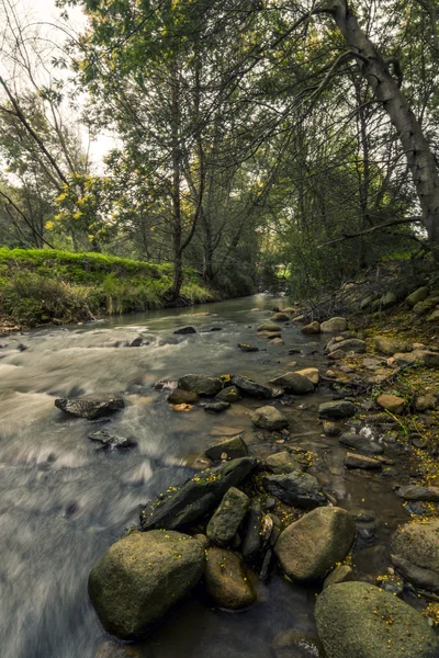 Rivière ruisseau sur la belle région de Monchique — Photo