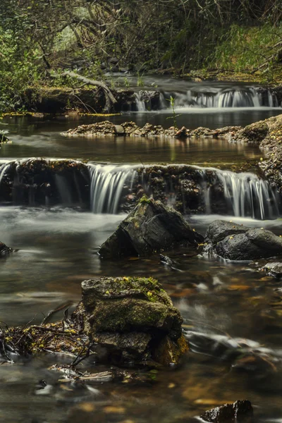 River stream on the beautiful Monchique region — Stock Photo, Image