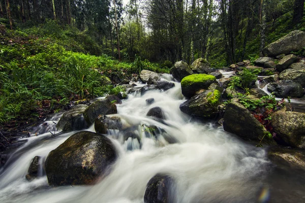 Ruscello fluviale sulla splendida regione di Monchique — Foto Stock