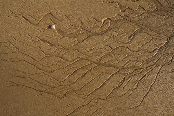 Linhas texturizadas fundo na areia — Fotografia de Stock