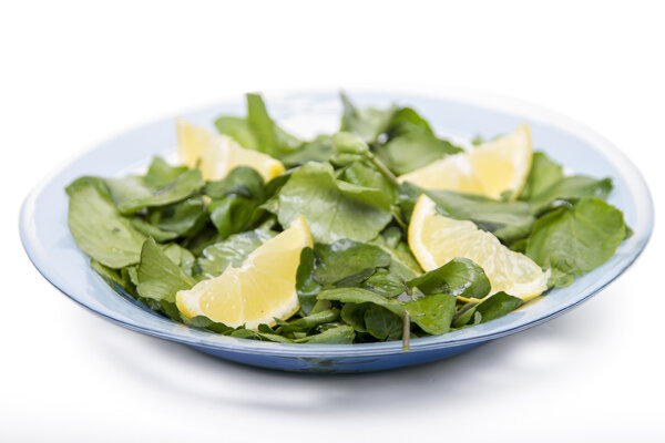Свежий и здоровый салат из водяного кресса с лимоном

