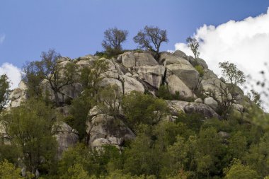 dağdan gelen taşlı tepe