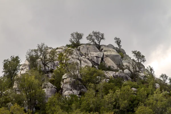 Pico pedregoso de una montaña — Foto de Stock