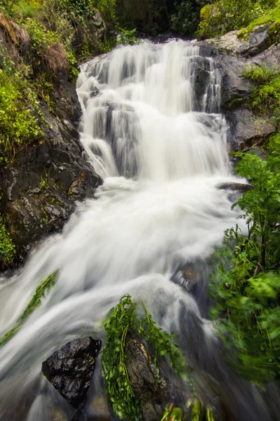 Små vattenfall, ligger på monchique, portugal — Stockfoto