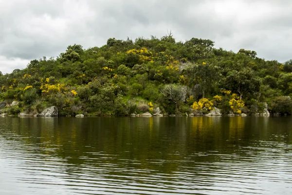 Riva del lago Alqueva situato ad Alentejo, Portogallo — Foto Stock