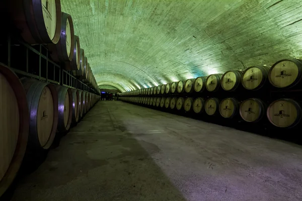Long corridor view of barrels of fine Portuguese wine — Stock Photo, Image