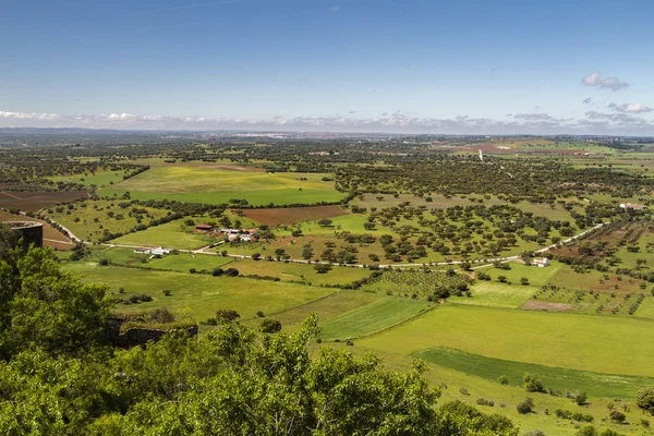 Bellissima vista sul paesaggio rurale dallo storico villaggio di Monsaraz — Foto Stock
