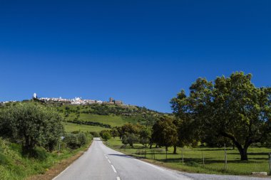 far view of the medieval and historical village of Monsaraz clipart